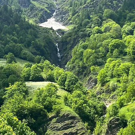 La Betulla