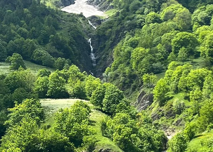 La Betulla